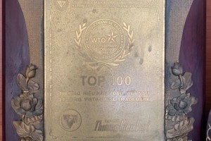 Top 100 thương hiệu hàng đầu Việt Nam