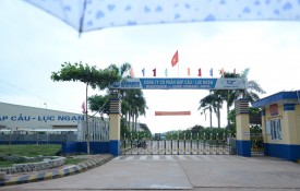 2011
